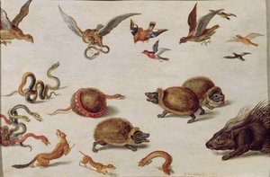 The Enemies of Snakes by Jan van Kessel the Elder